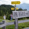 Tilly´s Waldpfad