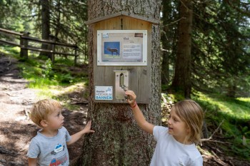 Tilly´s Waldpfad