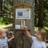Tilly´s Waldpfad