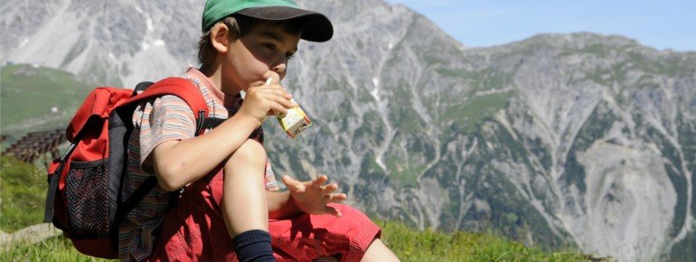 Rast am Alpenrosenweg