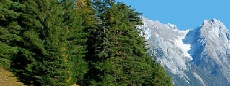 Kurz vor St.Anton auf 1304 m