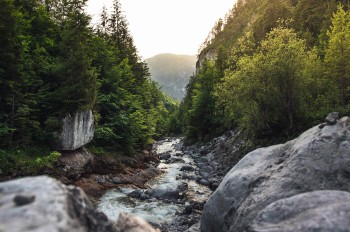 Der Wanderweg führt mitten durch ein Naturwaldreservat.