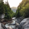 Der Wanderweg führt mitten durch ein Naturwaldreservat.