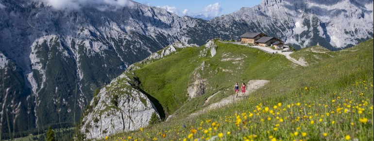 Die Almwanderung bietet dir sagenhafte Ausblicke.