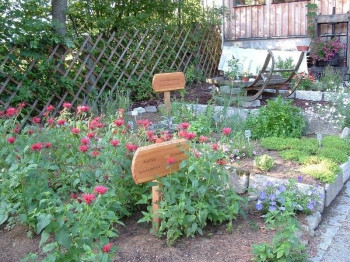 1. oö. und österreichs einziger Heilkräutergarten