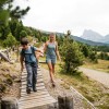 Der WoodyWalk auf der Plose führt von der Bergstation auf 2.050 Metern über Almwiesen und Erlebnisstationen zur Rossalm – mit Blick auf das UNESCO-Welterbe Dolomiten.