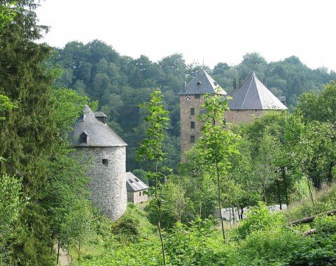 Blick auf die Burg Reinhardstein