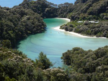 Die türkisblaue Frenchman Bay im Abel-Tasman-Nationalpark