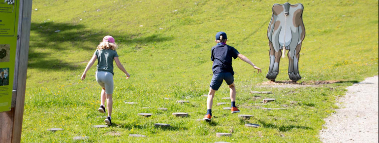 Wer ist der schnellste beim Kuhfladen-Wettlauf?