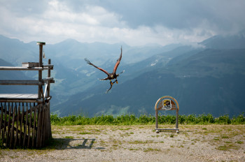 Die Adlerbühne vor der spektakulären Kulisse der Zillertaler Alpen.