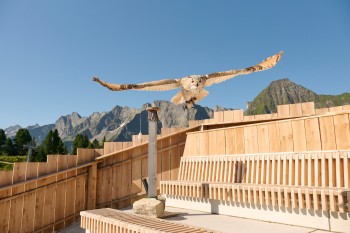 Auch Eulen gehören zu den ständigen Bewohnern der Greifvogelstation.