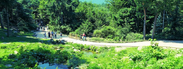Der Rundweg durch den Park ist ca. 800 Meter lang.