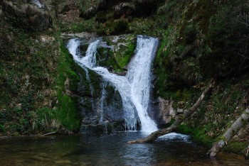 Ein Naturerlebnis mitten im Schwarzwald: Die Wasserfälle von Allerheiligen beeindrucken mit Fallhöhe und Atmosphäre.