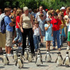 Täglich um 14 Uhr machen die Pinguine einen Spaziergang.