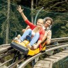 Die Ganzjahres-Rodelbahn Alpee Coaster ist 2,8 Kilometer lang.