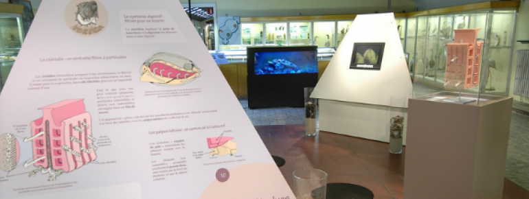 Das Museum vermittelt wissenschaftliche Erkenntnisse spannend aufbereitet