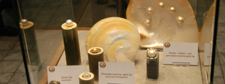 Schmuckstücke aus dem Meer: Perlen