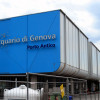 Das Aquarium befindet sich im Hafen von Genua.