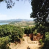 Archäologie und fantastischer Ausblick: Die Grotten-Nekropole von Populonia