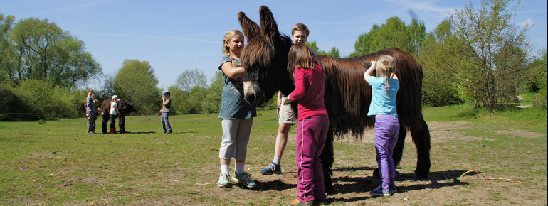 Fast alle Tiere sind an Menschen (und auch Kinder) gewöhnt und lassen sich gerne streicheln.