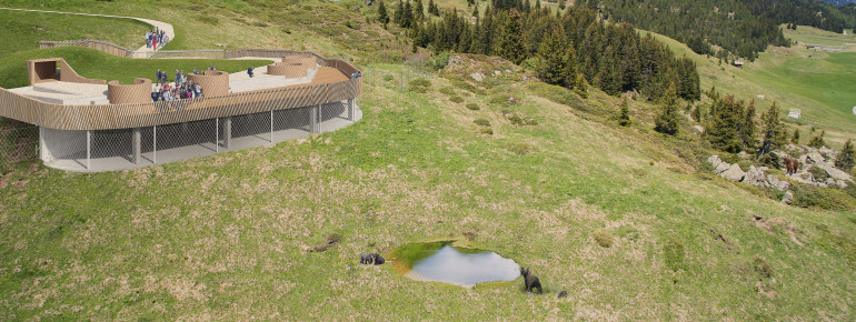 Von der Aussichtsplattform aus kannst du die Bären im Freigelände beobachten.
