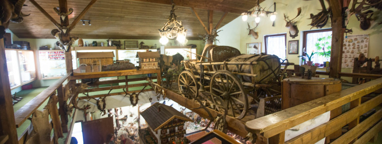 Waldmuseum