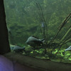 40.000 Liter Schauaquarium sind auch vorhanden.