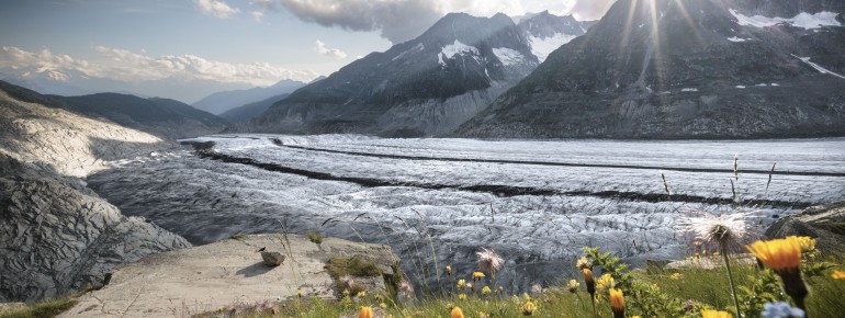 Platta - Grosser Aletslchgletscher