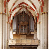 Schuke Orgel in der Divi-Balsii-Kirche