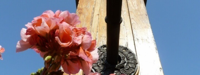 Das Museum inmitten der Natur