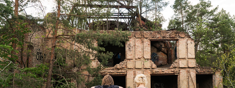 Blick auf die Ruine "Alpenhaus"