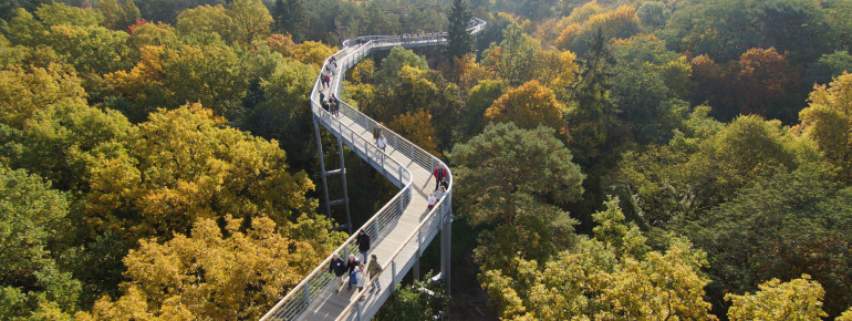 Vom Turm kannst du den 320 Meter langen Baumkronenpfad überblicken.