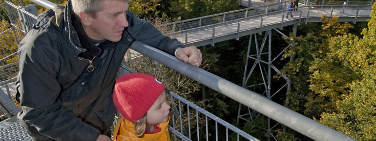 Vom Turm hast du einen tollen Ausblick bis ins Thüringer Becken.