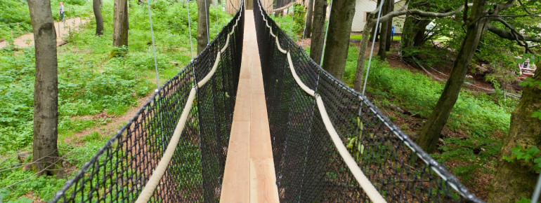 Besonderheit am Baumkronenpfad Hoherodskopf sind die Hängebrücken.