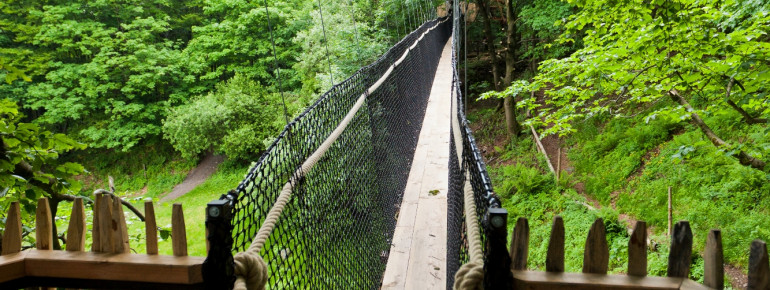 Hängebrücken bringen dich von Baum zu Baum.