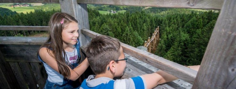 Die WaldEntdeckerWelt begeistert die ganze Familie.