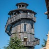 Wusstest du, dass jeder alte Baumstamm voller Leben ist?