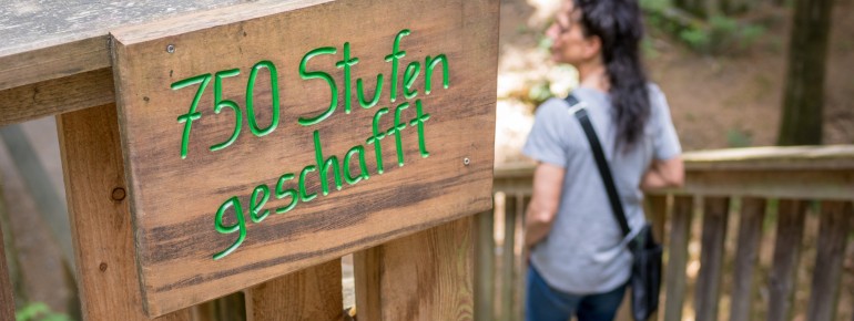 Entlang der Wege laden Infotafeln und interaktive Erlebnisstationen zum Staunen ein.