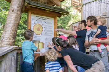 Wissenswertes über Baum und Natur erfahrt man entlang des Weges.
