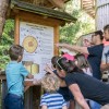 Wissenswertes über Baum und Natur erfahrt man entlang des Weges.