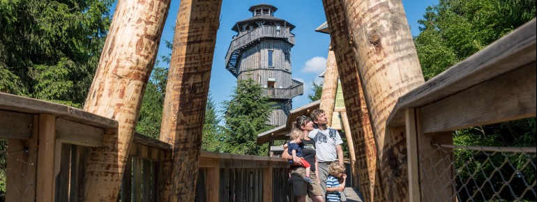 Im Naturerlebnispark nahe Passau können sich kleine und große Waldentdecker nach Herzenslust austoben.