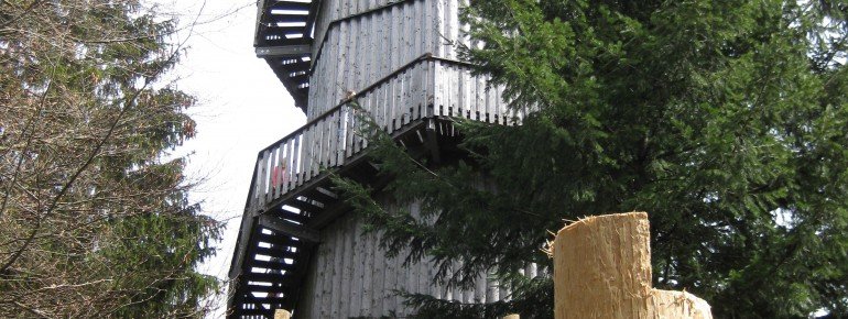 Der 40 Meter hohe Aussichtsturm ist das Highlight des Baumkronenweges