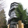 Der 40 Meter hohe Aussichtsturm ist das Highlight des Baumkronenweges
