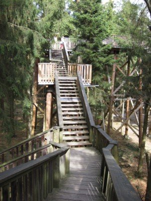 Die zweite Ebene bringt die Besucher auf bis zu 15 Meter über den Waldboden