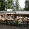 Der Gasthof Oachkatzl ist das einzige Gasthaus am Baumkronenweg und bietet seine reichhaltige Speisekarte am wunderschönen Biergarten an