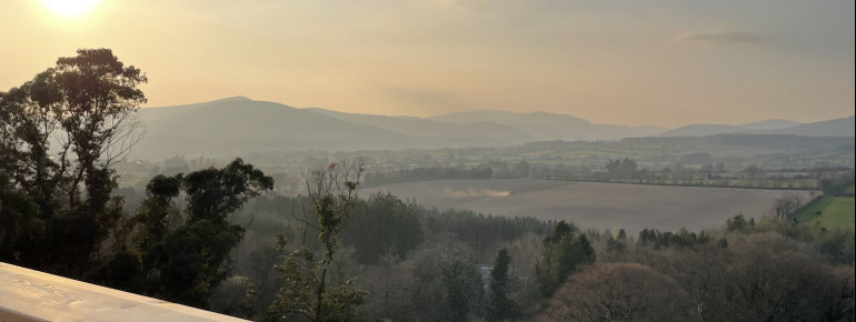 Die Aussicht vom Baumwipfelpfad ist atemberaubend.