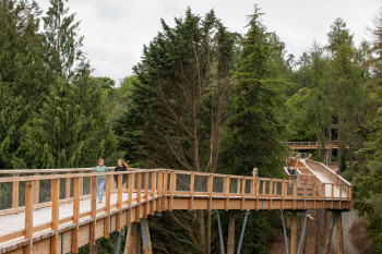 Der Treetop Walk Ireland ist insgesamt knapp 1,5 Kilometer lang und bis zu 23 Meter hoch