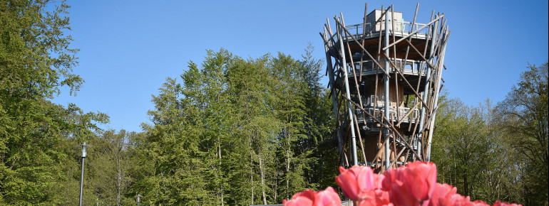 Der Baumwipfelpfad ist ganzjährig zugänglich.