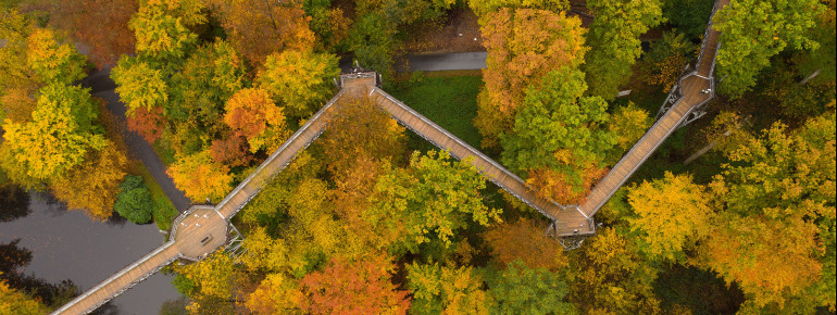 Im Herbst wartet auf dich ein farbenfroher Laubwald.
