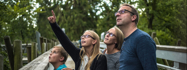 Der Baumwipfelpfad in Bad Iburg eignet sich für einen Familienausflug.